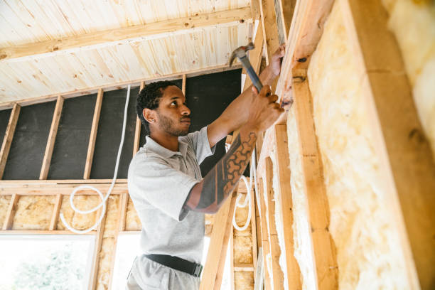 Best Insulation Contractor Near Me  in Carrollton, KY